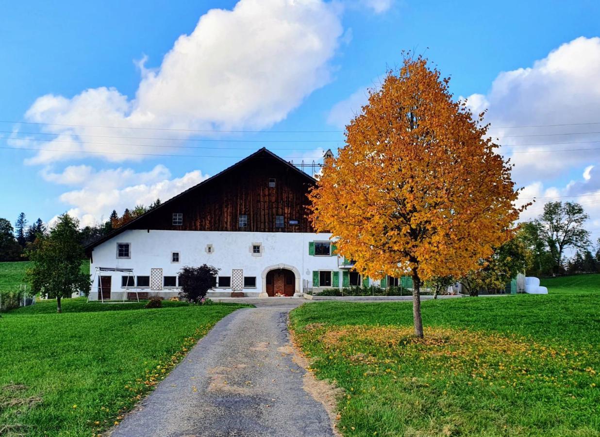 Ô Valanvron - Appartement dans une ancienne ferme neuchâteloise La Chaux De Fonds Exterior foto